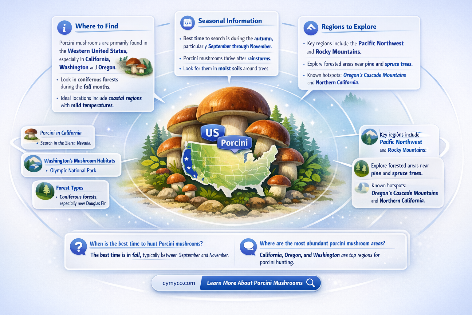 do porcini mushrooms grow in the us