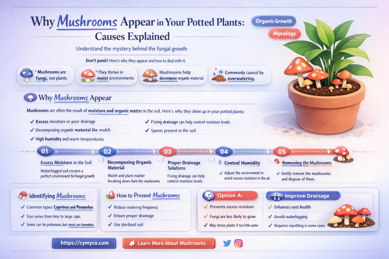 what causes mushrooms to grow in potted plants