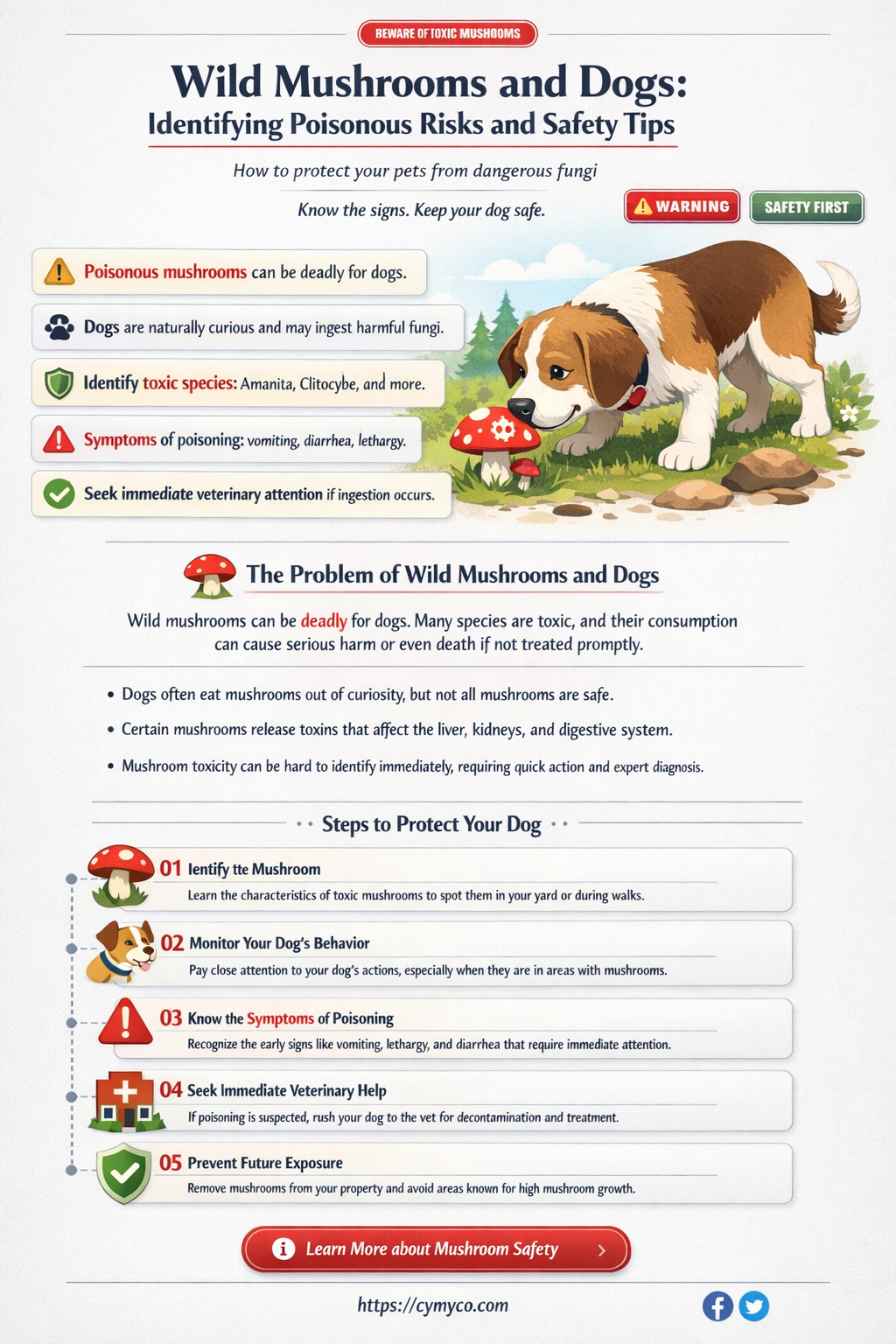 are wild mushrooms poisonous for dogs