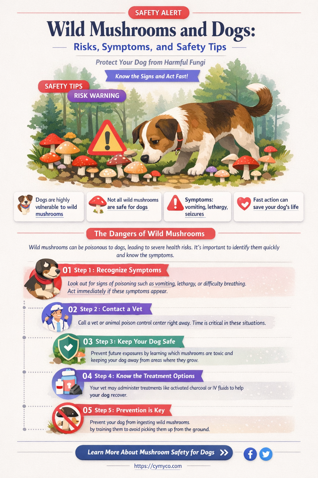 are wild mushrooms bad for dogs