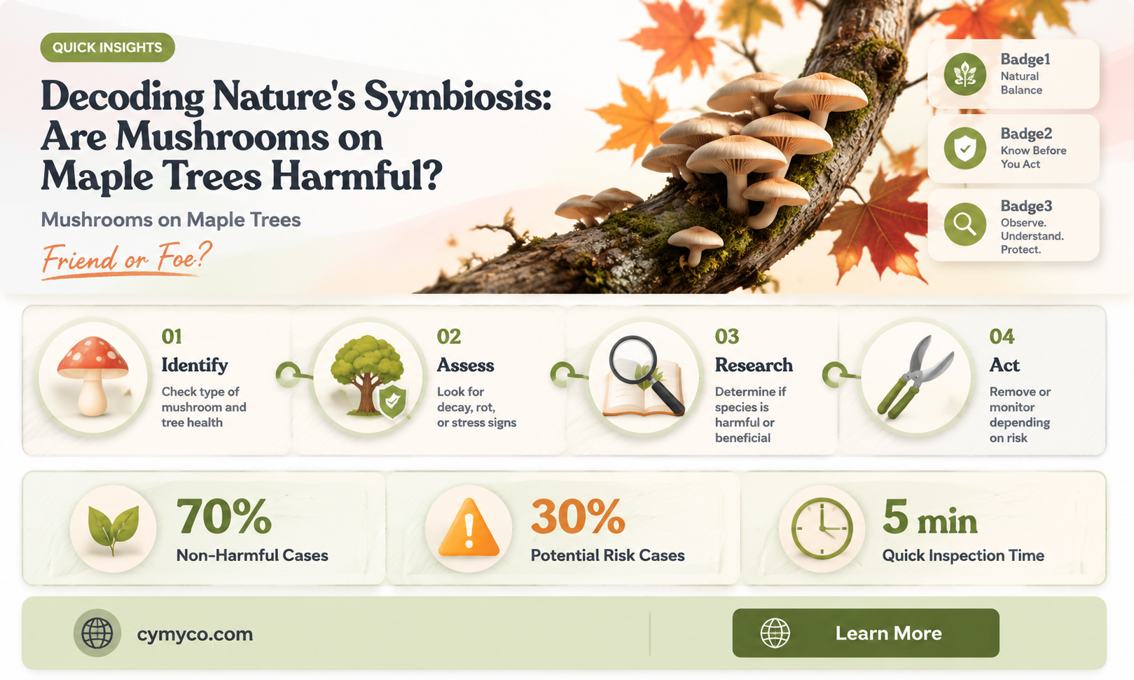 are mushrooms on maple trees bad