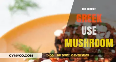 Ancient Greek Mushroom Use: Myth or Historical Reality?