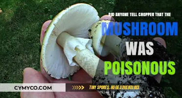 Chopper's Close Call: The Poisonous Mushroom Mishap
