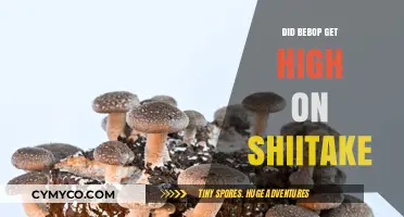 Exploring the Myth: Did Bebop Really Get High on Shiitake Mushrooms?