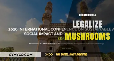 California's Psychedelic Shift: Legalizing Mushrooms for Therapeutic Use