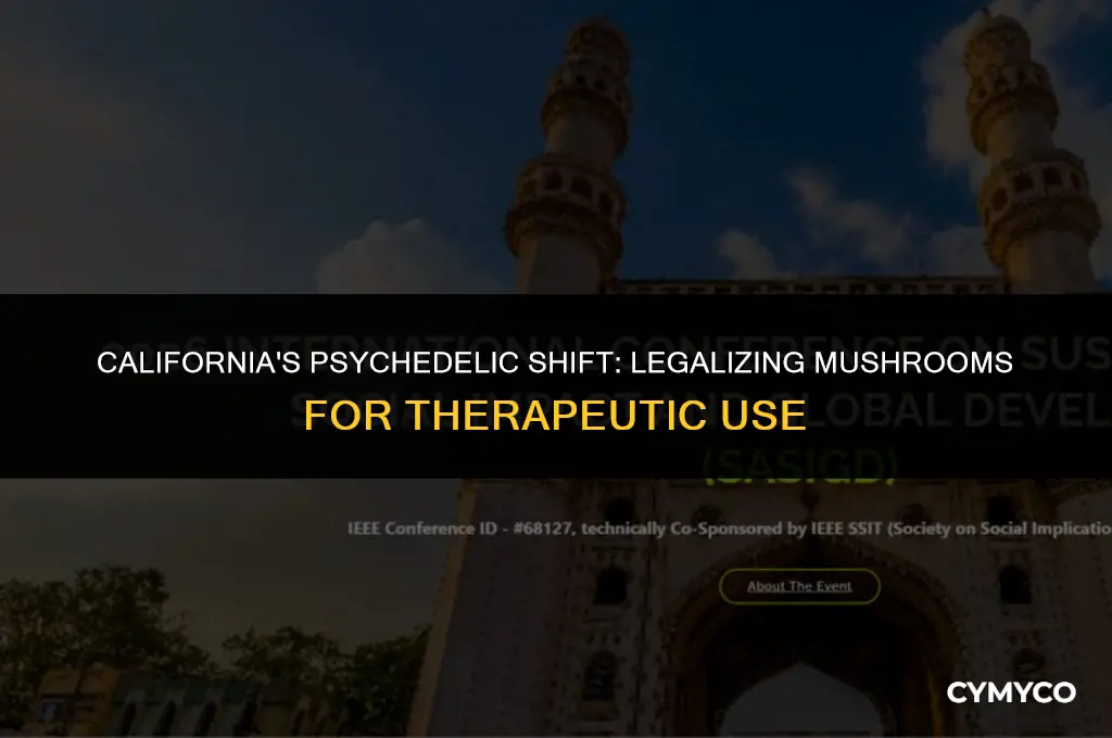 did california legalize mushrooms