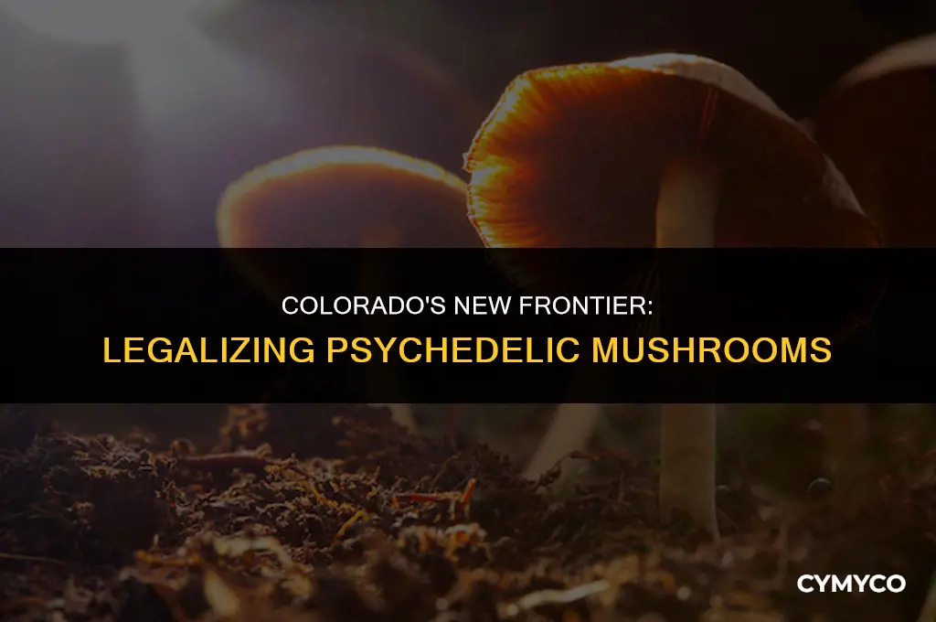 did colorado just legalize mushrooms