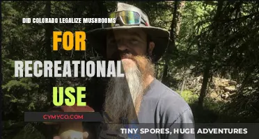 Colorado's Psychedelic Shift: Recreational Mushrooms Legalized or Still Restricted?