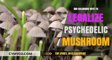 Colorado's Bold Move: Legalizing Psychedelic Mushrooms for Therapeutic Use