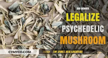 Denver's Bold Move: Legalizing Psychedelic Mushrooms for Therapeutic Use