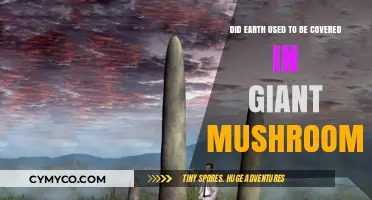 Giant Mushrooms: Earth's Ancient Forest or Mythical Past?