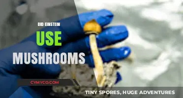 Einstein and Psilocybin: Exploring the Mushroom Connection in His Life