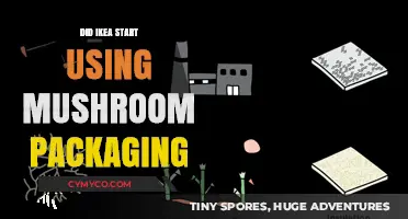 IKEA's Eco-Friendly Shift: Mushroom Packaging Revolution Explained