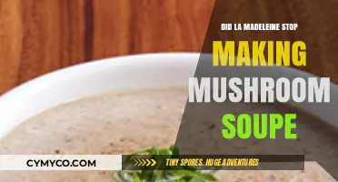 Exploring the Rumors: Has La Madeleine Discontinued Their Mushroom Soup?