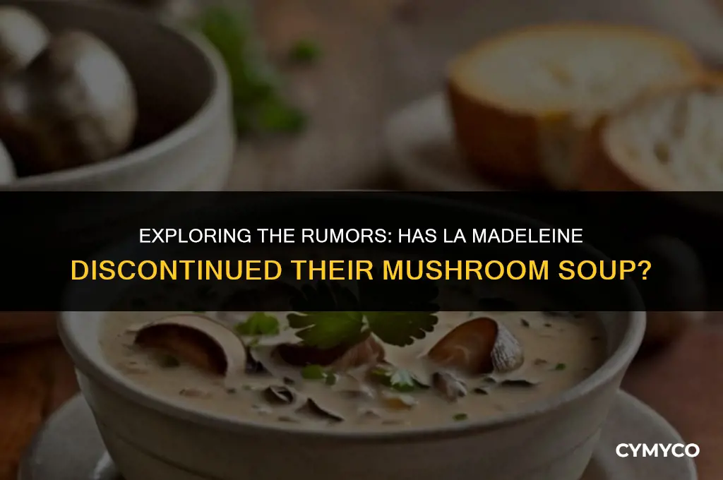 did la madeleine stop making mushroom soupe