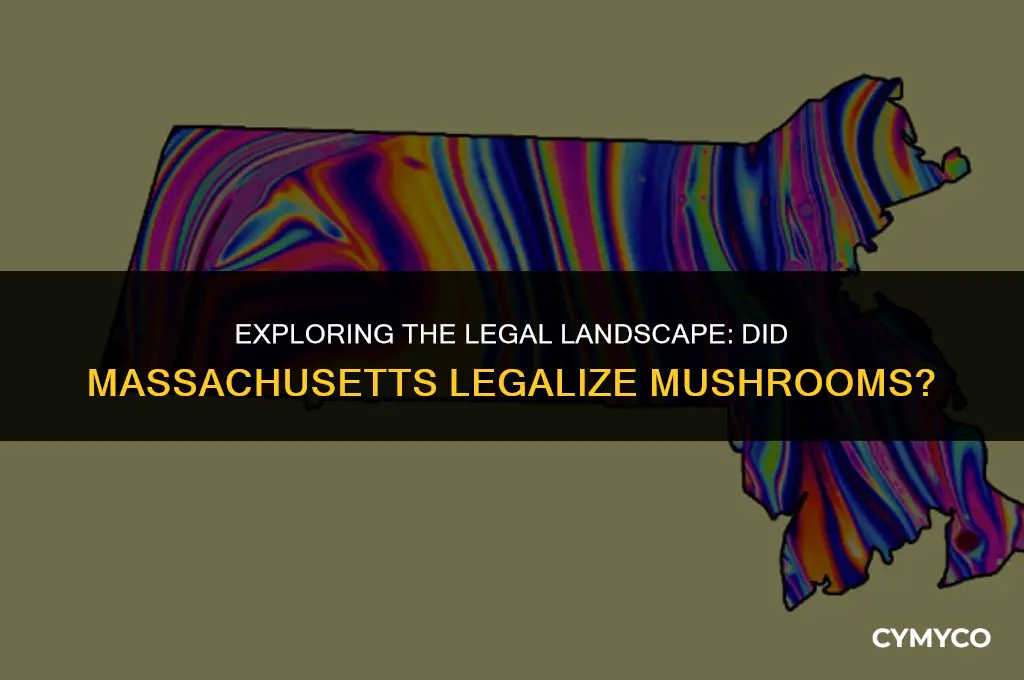 did mass legalize mushrooms