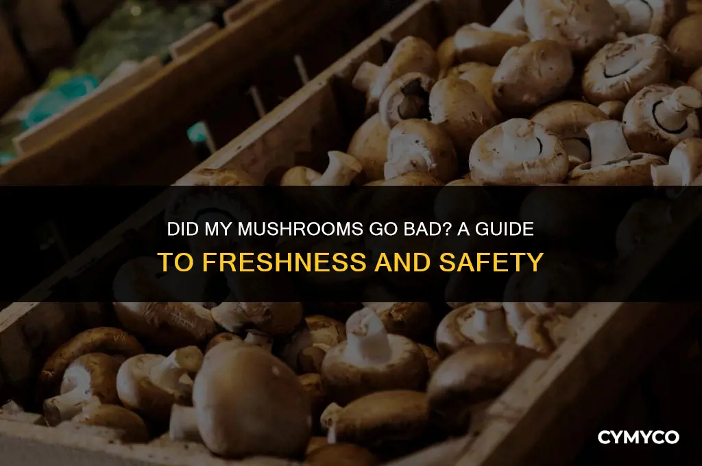 did my mushrooms go bad