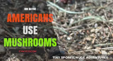 Exploring Native American Traditions: Mushroom Use in Indigenous Cultures