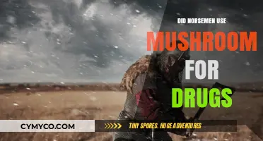 Did Norsemen Use Mushrooms as Psychedelic Drugs in Ancient Times?