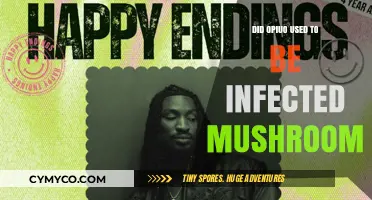 Opiuo vs Infected Mushroom: Unraveling the Musical Identity Confusion