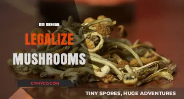 Oregon's Bold Move: Legalizing Mushrooms for Medical and Recreational Use