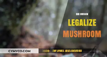 Oregon's Bold Move: Legalizing Mushrooms for Medical and Recreational Use