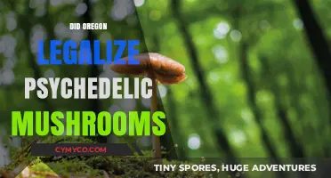Oregon's Bold Move: Legalizing Psychedelic Mushrooms for Mental Health
