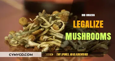 Oregon's Bold Move: Legalizing Mushrooms for Medical and Recreational Use