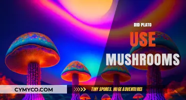 Did Plato Use Mushrooms? Exploring Ancient Philosophers and Psychedelics