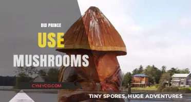 Prince and Psilocybin: Unraveling the Mushroom Mystery in His Life