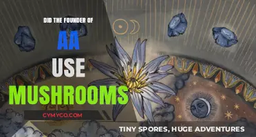 Did AA's Founder Bill Wilson Experiment with Psilocybin Mushrooms?