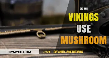 Viking Mushroom Secrets: Unveiling Ancient Norse Fungal Practices and Uses