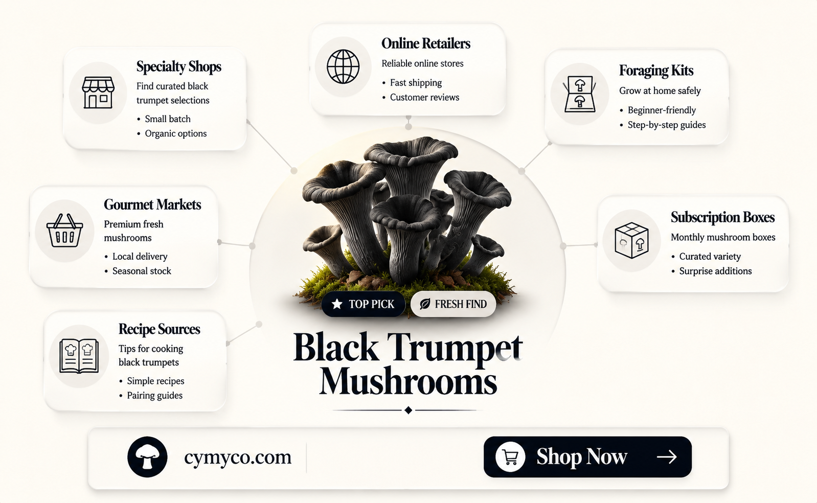 where to buy black trumpet mushrooms