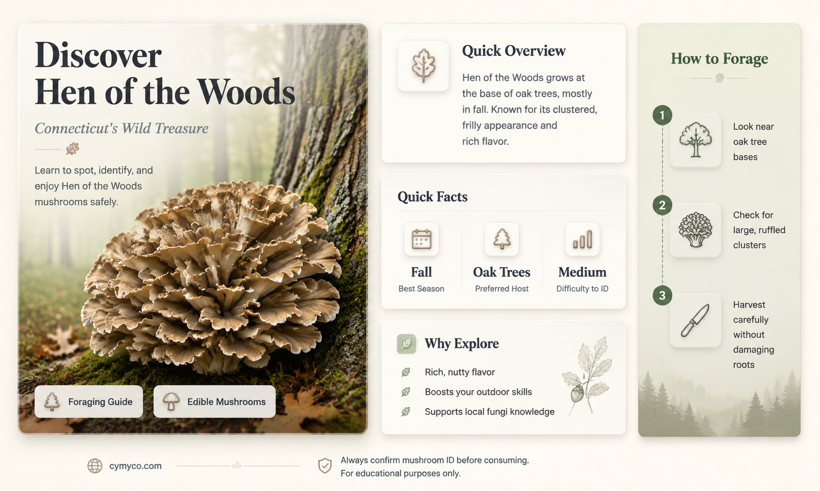 where to find hen of the woods mushrooms in ct
