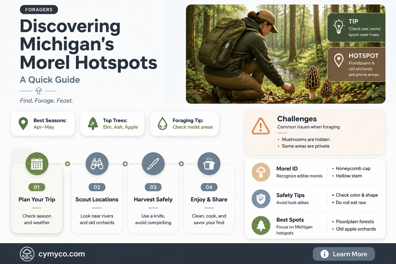 where to find morels in michigan