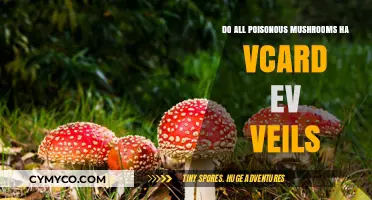Exploring the Deadly World of Poisonous Mushrooms: Facts and Myths