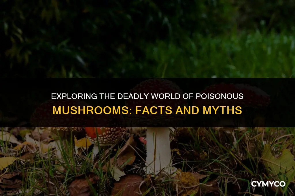 do all poisonous mushrooms ha vcard ev veils