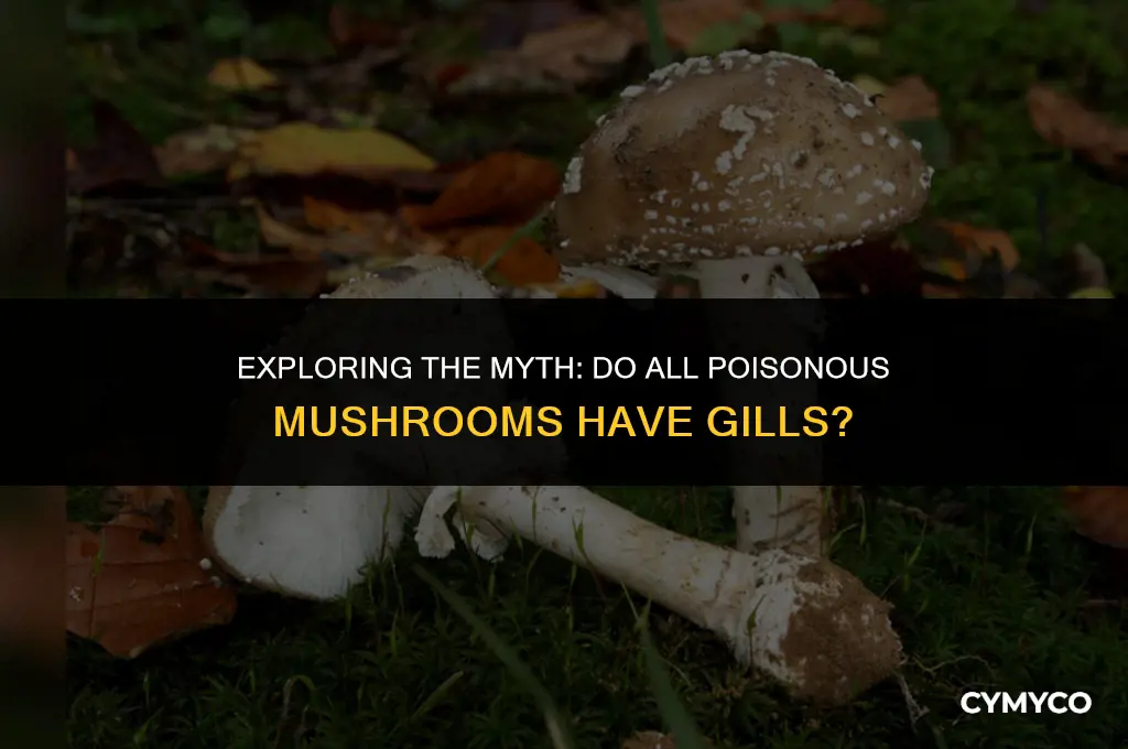 do all poisonous mushrooms have gills