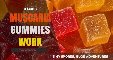 Exploring the Effects of Amanita Muscaria Gummies: A Comprehensive Guide
