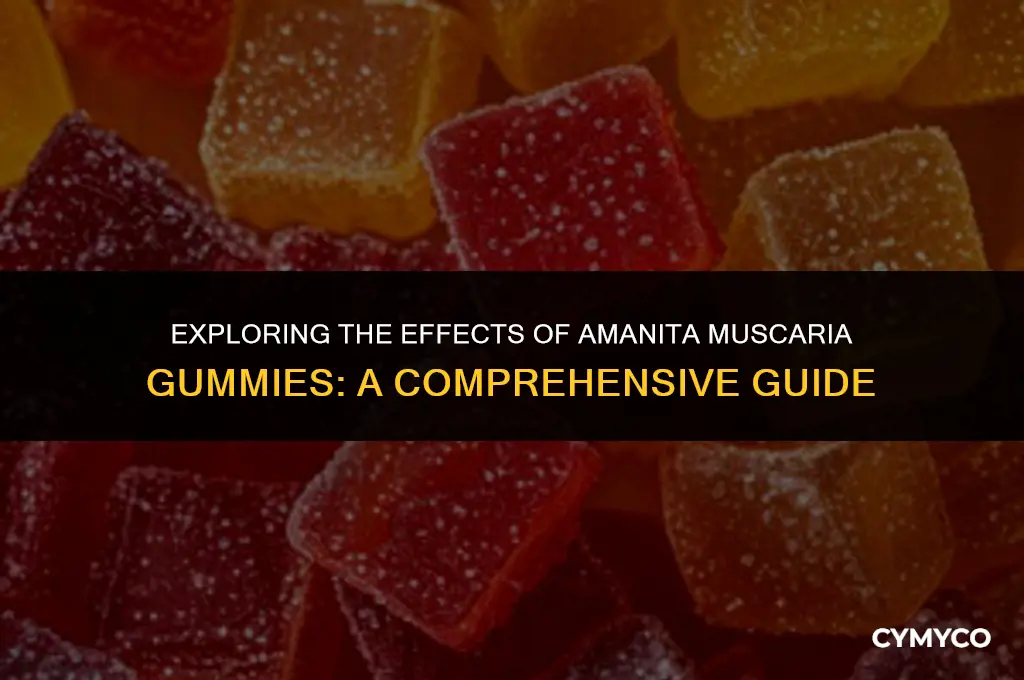 do amanita muscaria gummies work