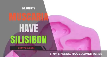 Exploring the Myth: Amanita Muscaria and the Silicon Connection