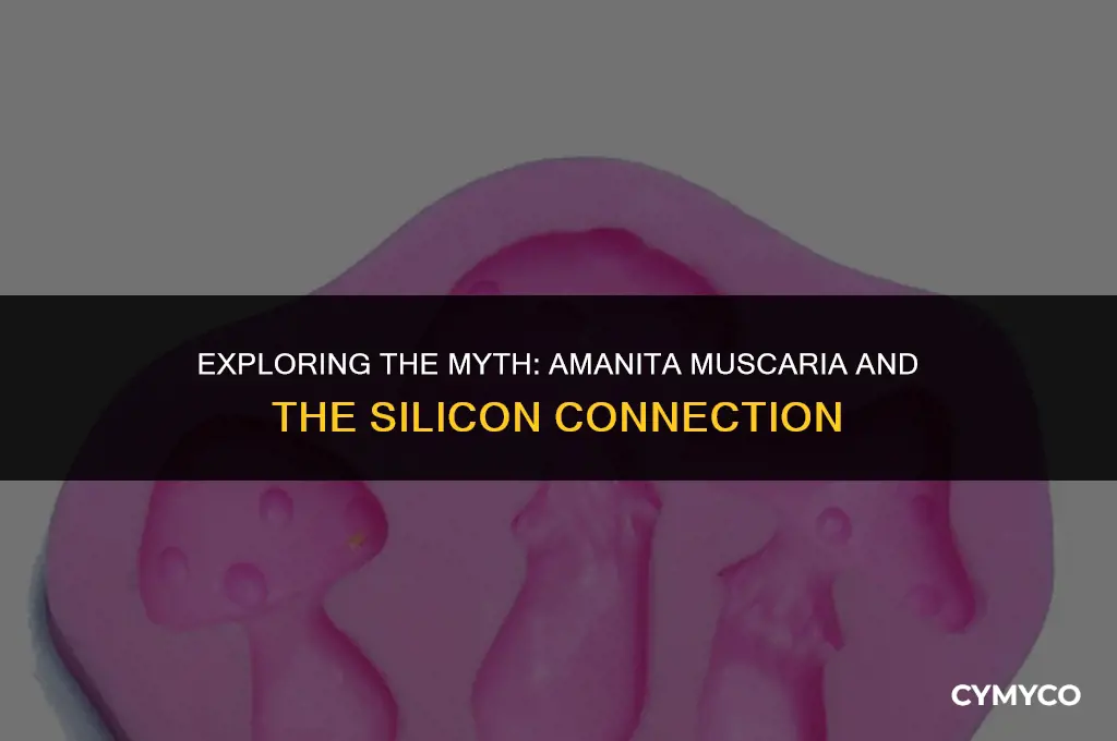 do amanita muscaria have silisibon