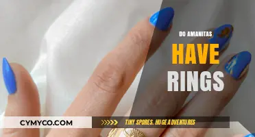 Exploring the Enchanting World of Amanitas: Rings and Mysteries