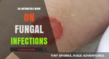 Antibiotics vs. Fungal Infections: Understanding Their Effectiveness