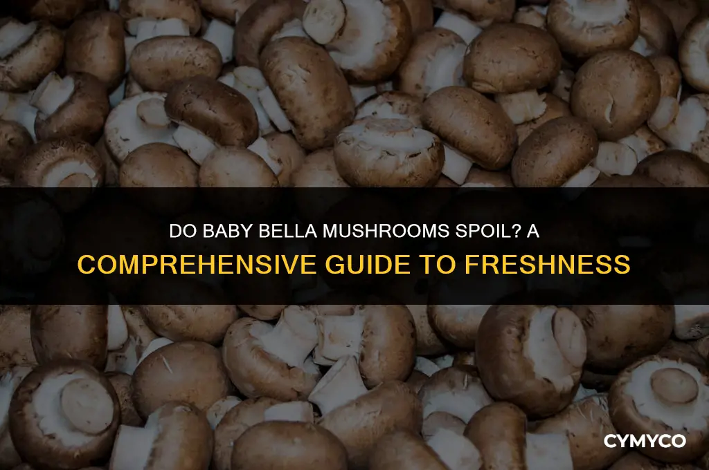 do baby bella mushrooms go bad