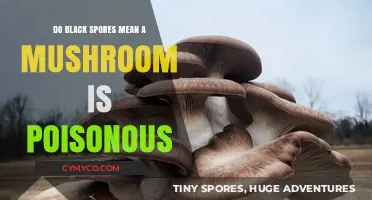 Decoding Mushroom Safety: The Truth About Black Spores and Poisonous Varieties