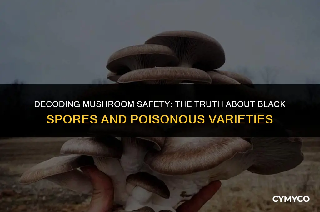 do black spores mean a mushroom is poisonous