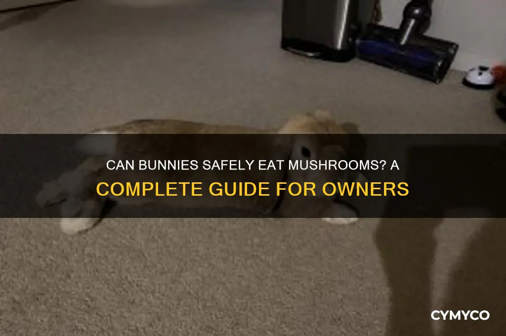 do bunnies eat mushrooms