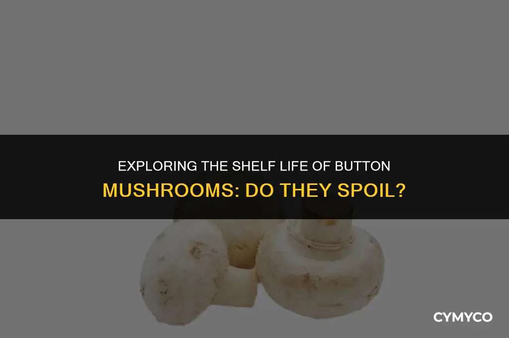do button mushrooms go bad