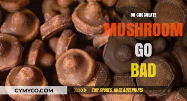 The Shelf Life of Chocolate Mushrooms: Do They Go Bad?